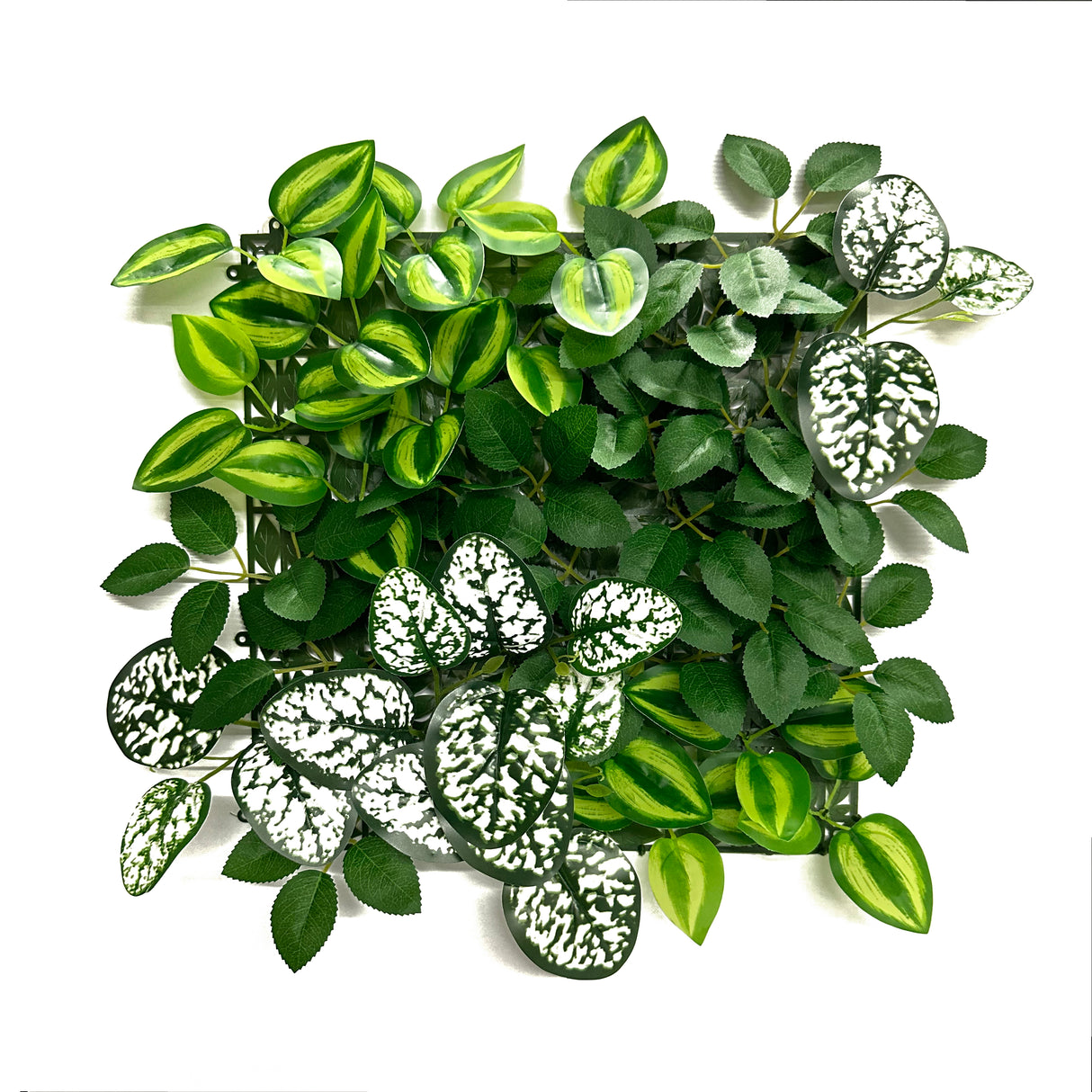 TRAVA UMJETNA ZIDNA CCGA338 33 X 33 cm