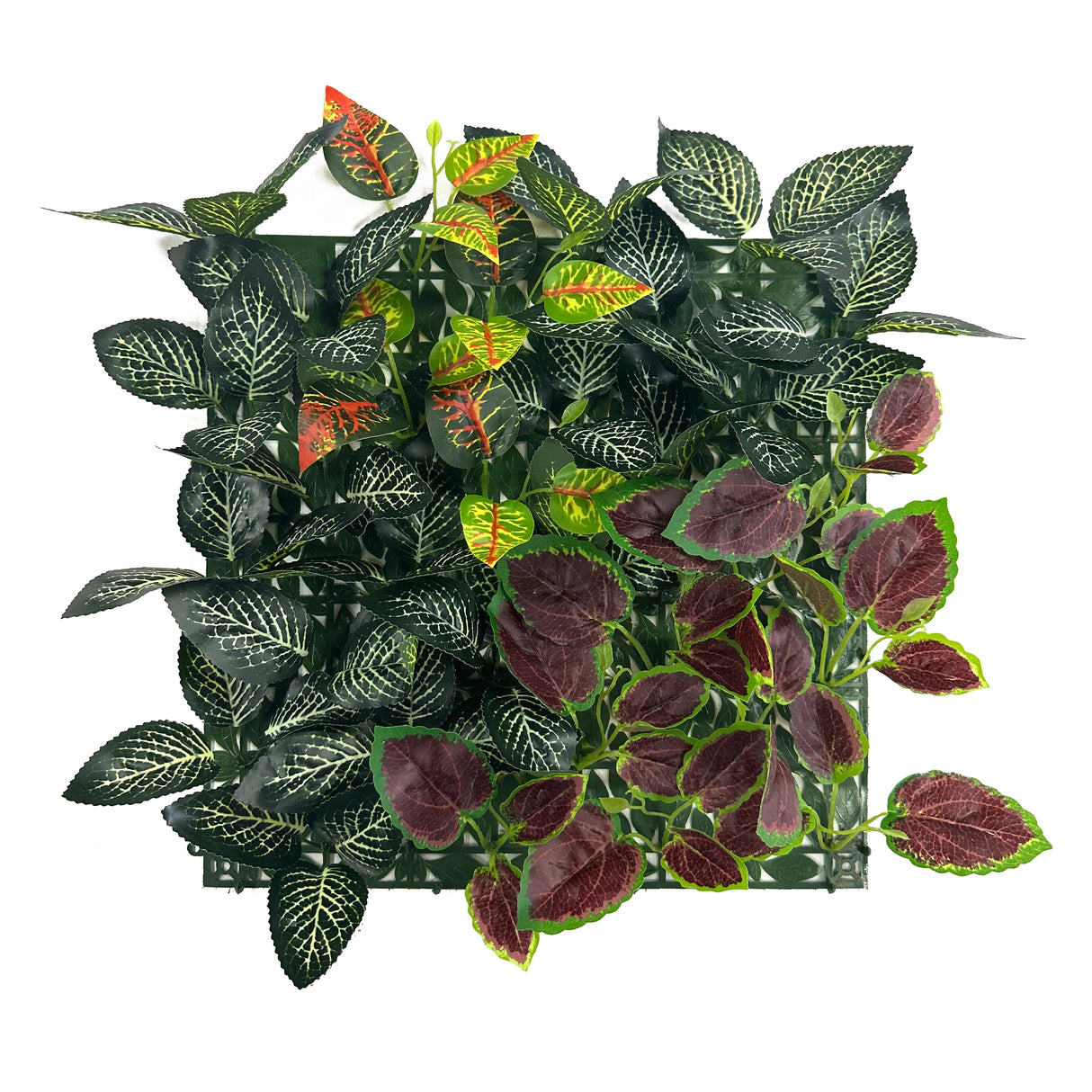 TRAVA UMJETNA ZIDNA CCGA339 33 X 33 cm