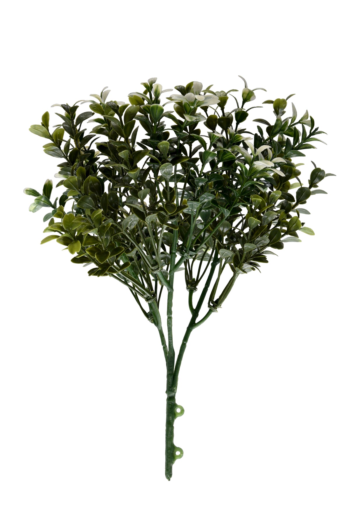 TRAVA UMJETNA ZIDNA CCGW005 25 X 32 cm