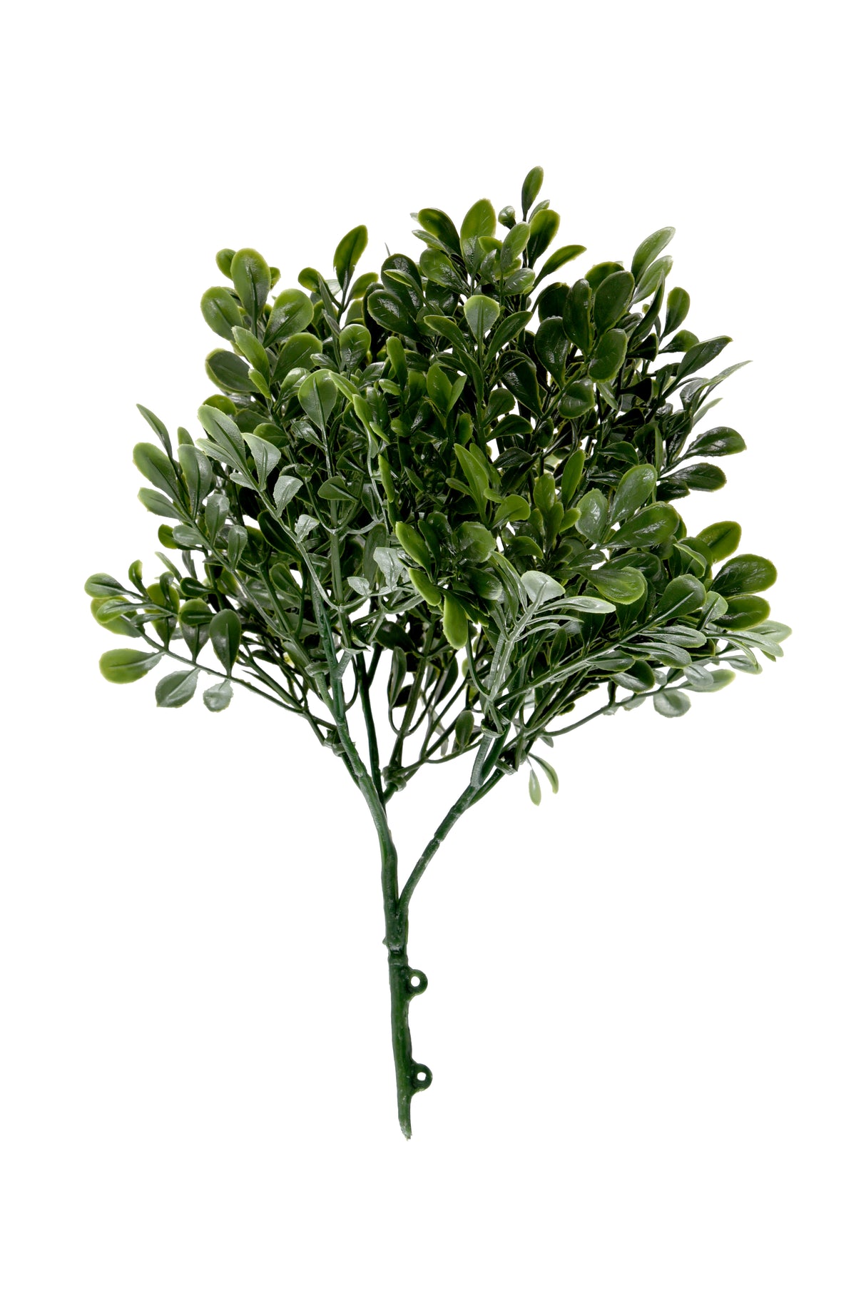 TRAVA UMJETNA ZIDNA CCGW014 25 X 32 cm