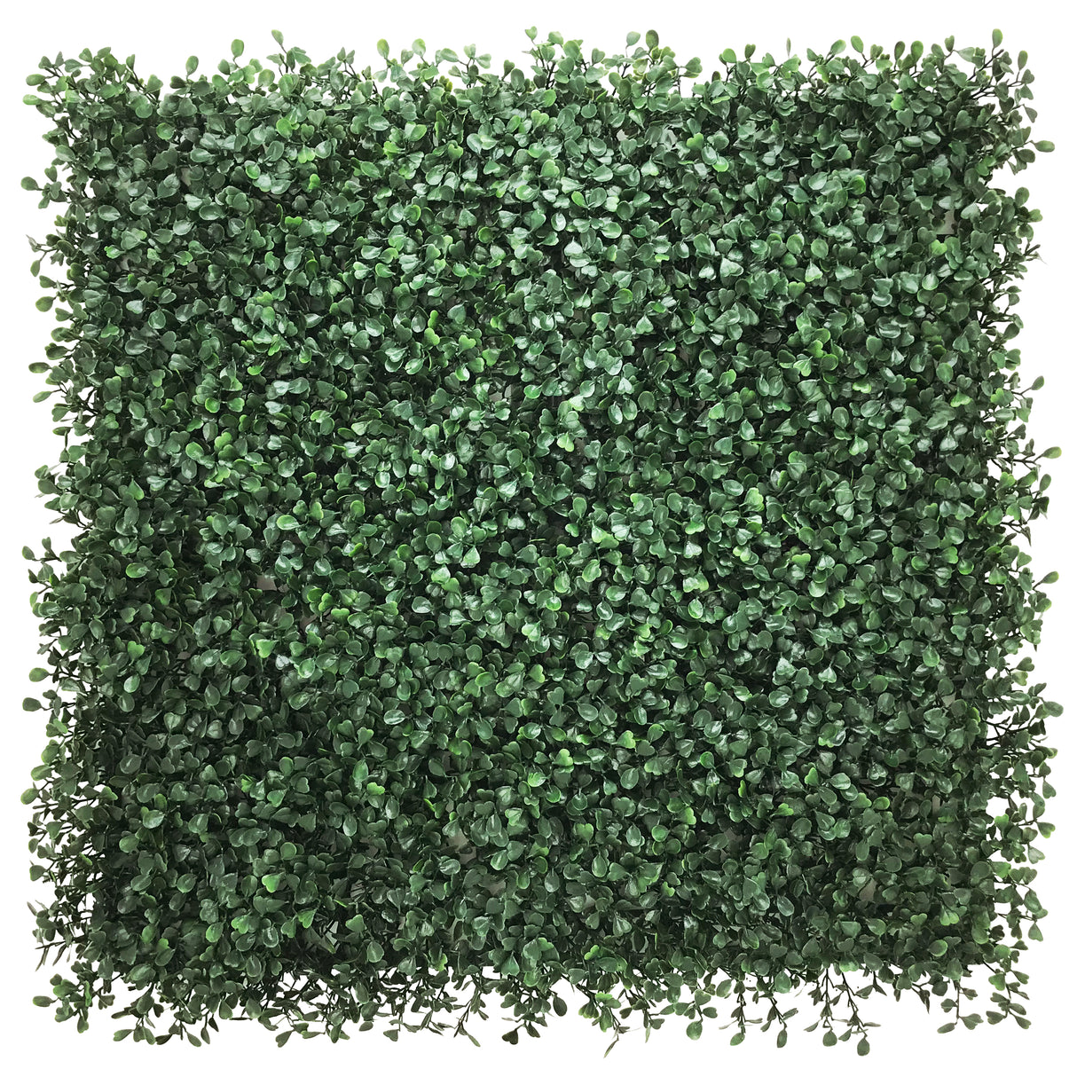 TRAVA UMJETNA ZIDNA CCGA147 50 x 50