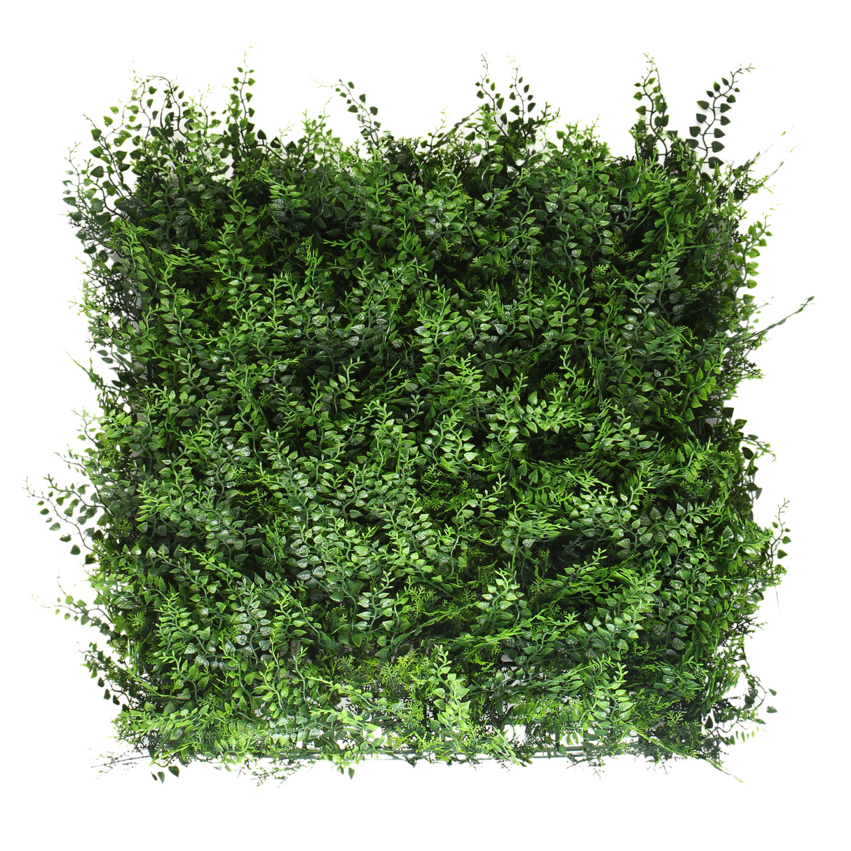 TRAVA UMJETNA ZIDNA CCGA006  50 X 50 cm